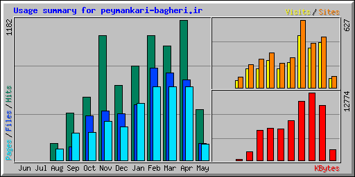 Usage summary for peymankari-bagheri.ir